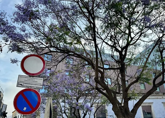 Apartament Lighthouse By Mymoradia I Vue & Elegance A Porto